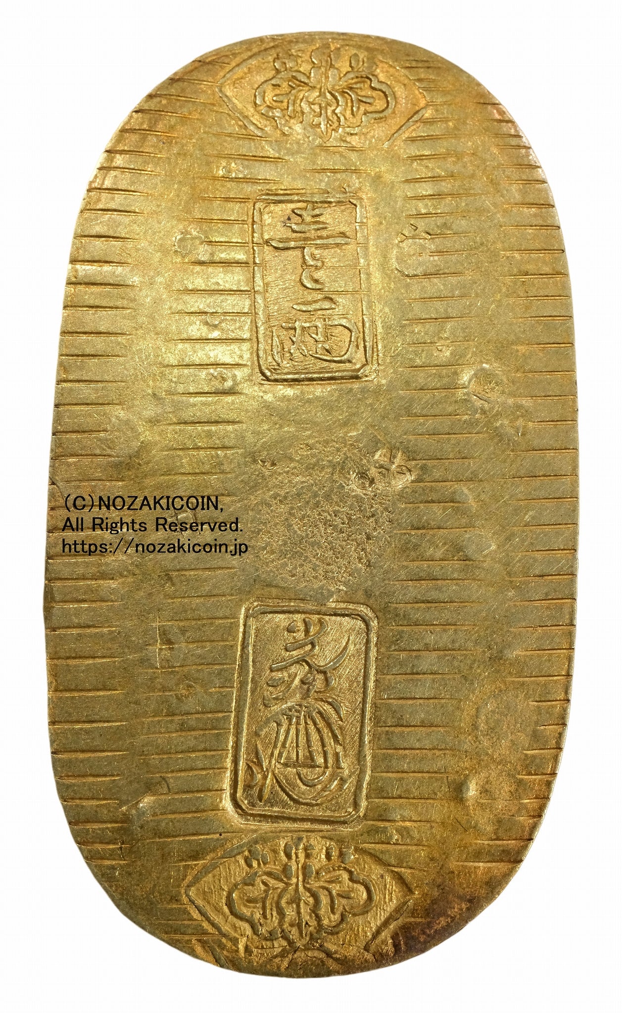 s-DSCF0759_1.jpg?v=1750846554