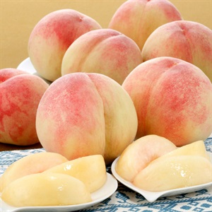 ぴ～一番 1.8kg 7月中旬発送開始 | 全農食品オンラインショップ