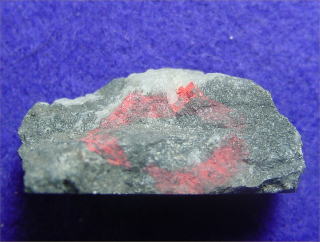 ﾍﾟｯﾂ鉱 Petzite