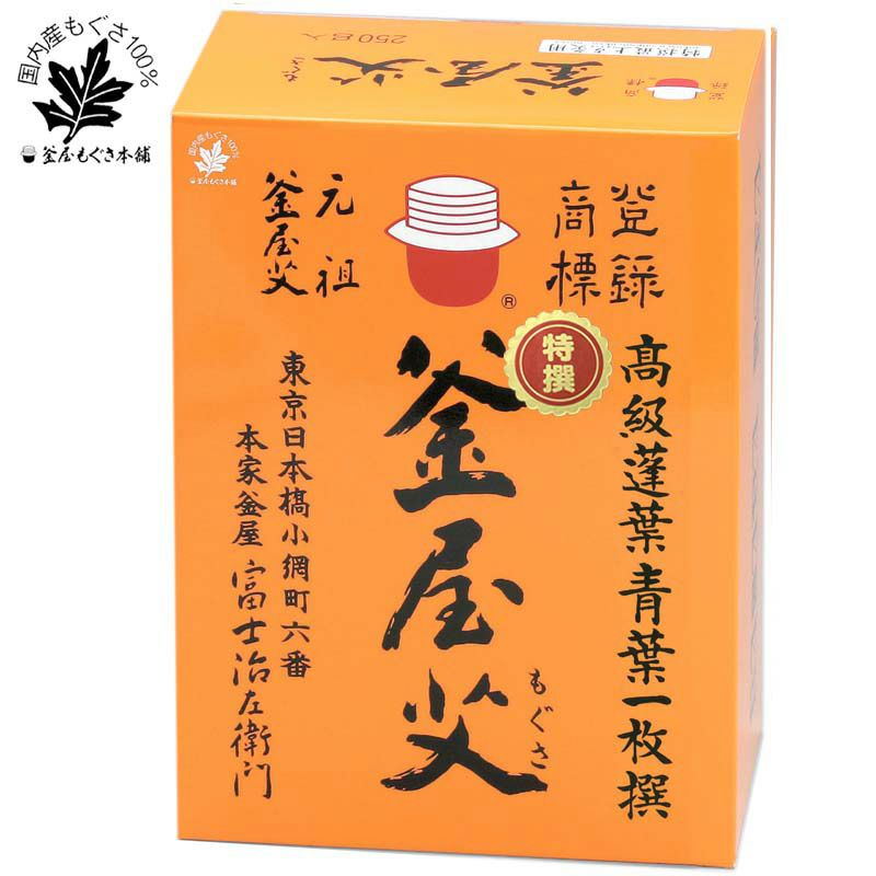 特選最上点灸用艾 250g | トワテック