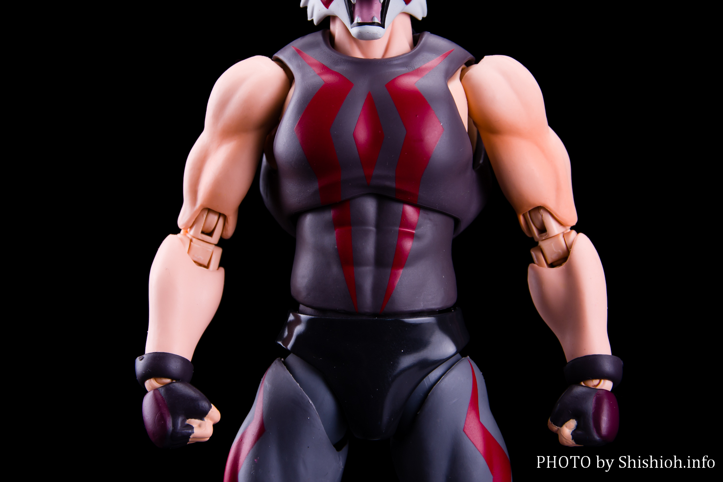 レビュー】S.H.Figuarts タイガー・ザ・ダーク