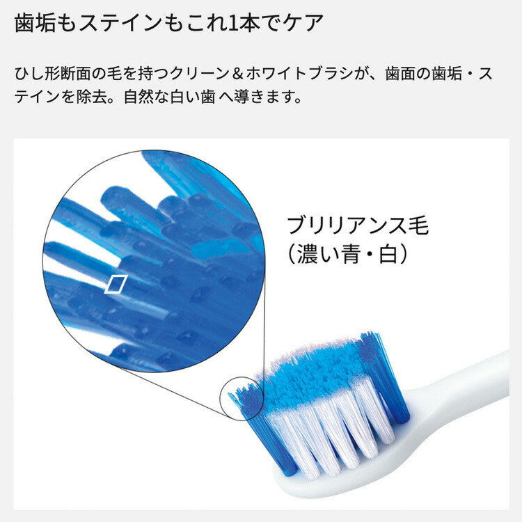 楽天市場】【ギフト対応】Panasonic(パナソニック） ドルツ 電動