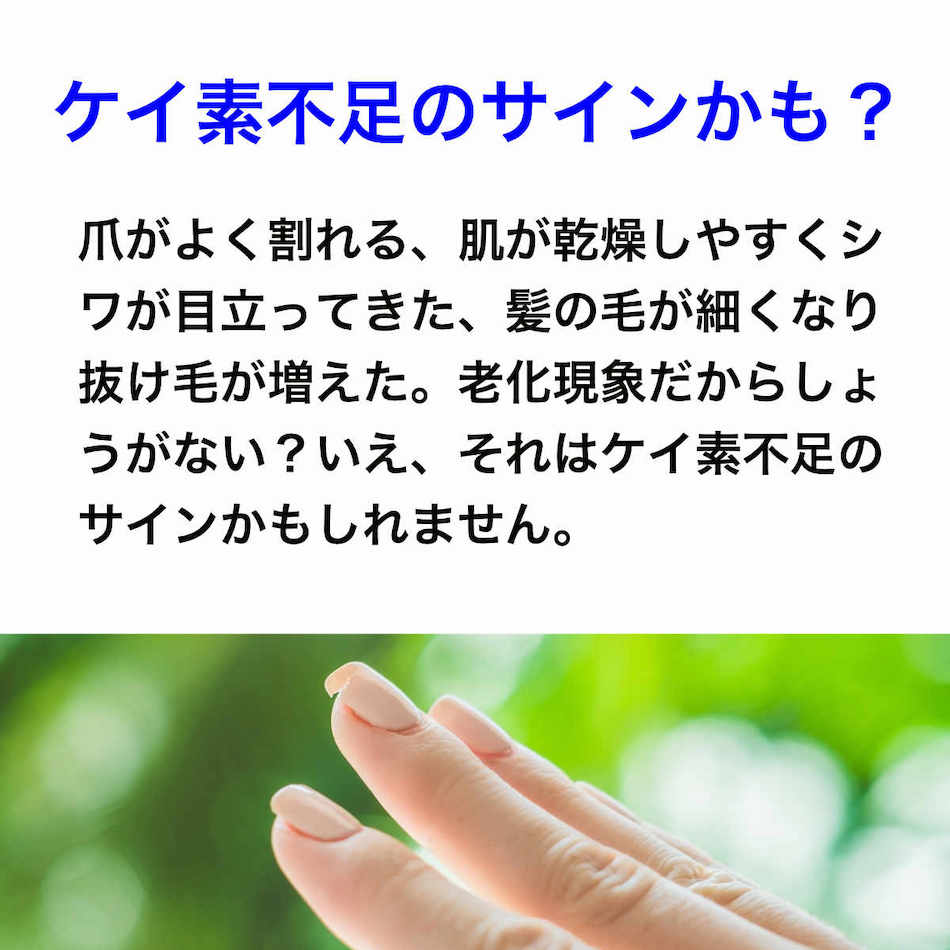 楽天市場】シリシア500ml【ポイント10倍 ケイ素 飲むケイ素 シリカ