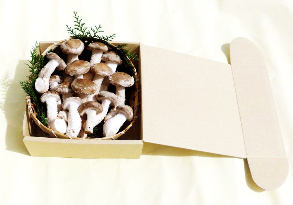 楽天市場】【ふるさと納税】 松きのこ 250g 冷蔵 岡垣町産 まつきのこ