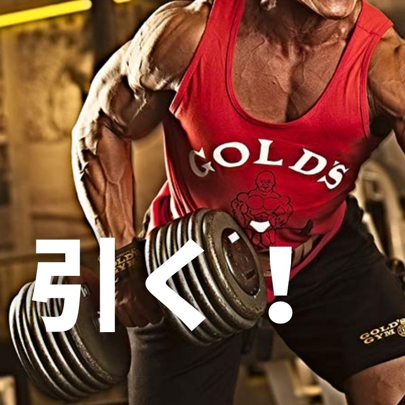 楽天市場】【公式サイト】GOLD'S GYM ゴールドジム パワーグリップ