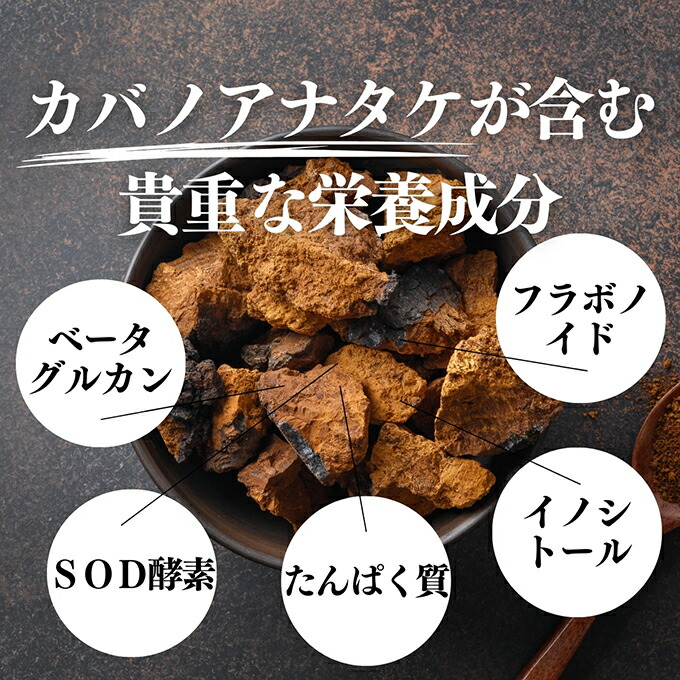 楽天市場】カバノアナタケ粉末 500g×3個 (250g×6) パウダー チャーガ