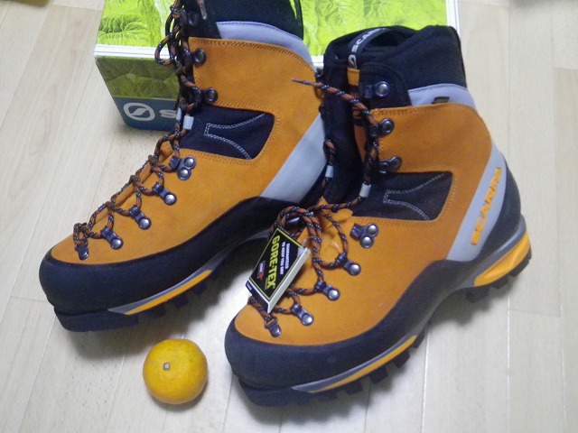 厳冬期にSCARPA(スカルパ) モンブランGTX！購入使用レポ！ - 登山