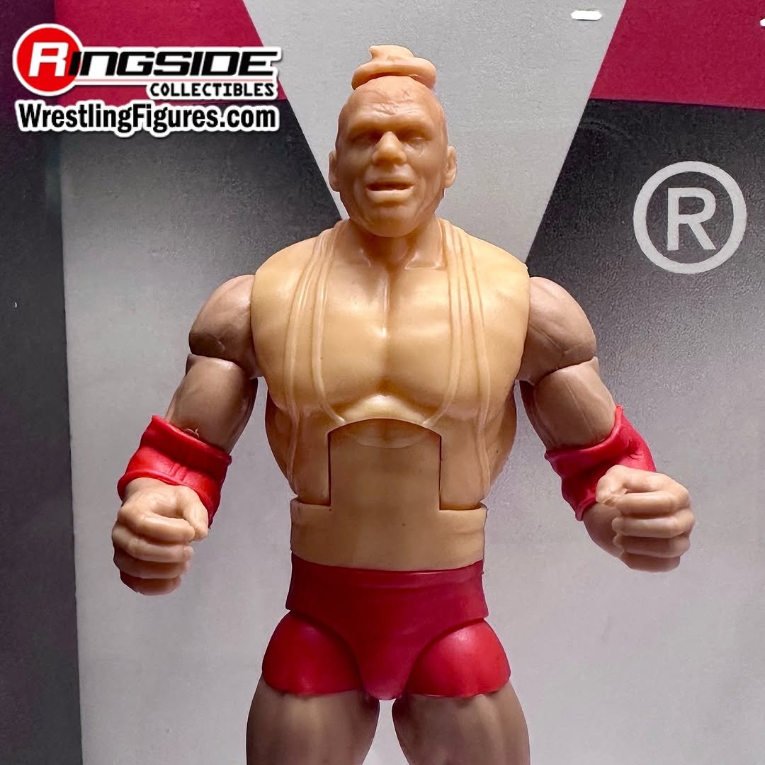 2025 WWE Mattel Elite Collection Ringside Exclusive Defining