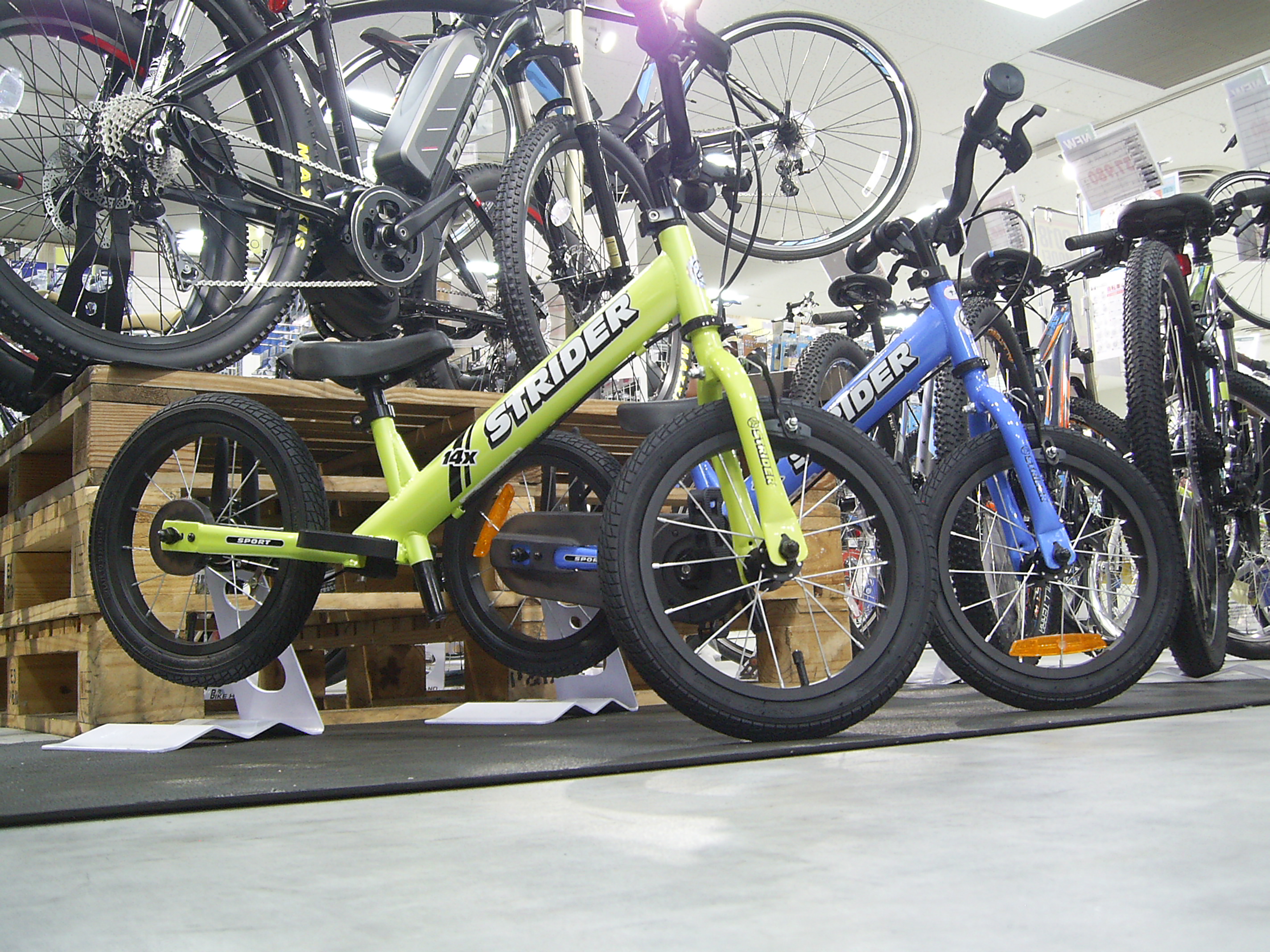 STRIDER Sport 14x サイクルスポット&ル・サイク南大沢店 | 自転車専門