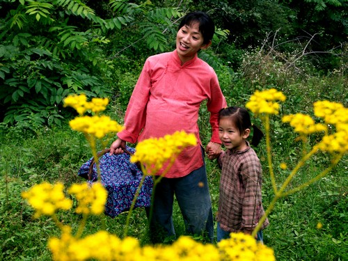 TVアニメ レディ ジュエルペット (2014) - allcinema