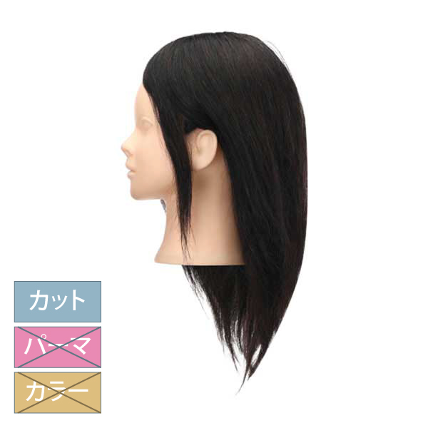 レッスン用ウイッグ | 美通販【公式】理美容プロ向けの卸通販