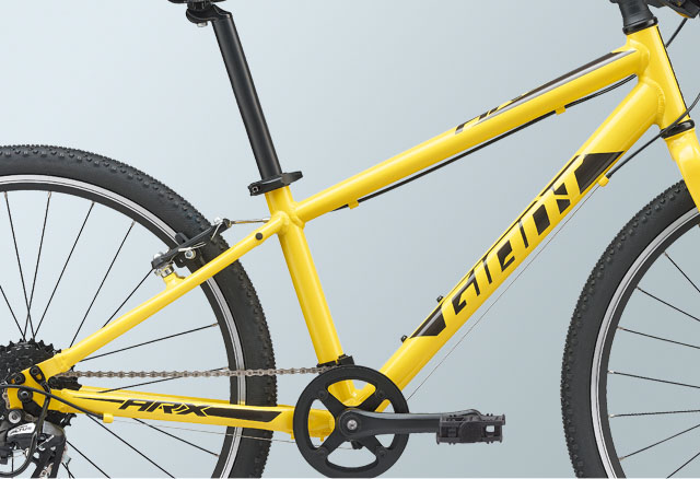 2021 GIANT Bicycles | ARX 24
