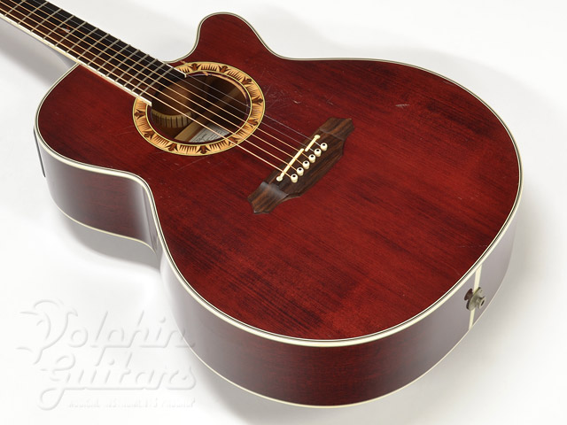 TAKAMINE PT-508|ドルフィンギターズ