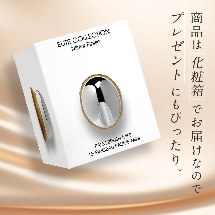 artis/アーティス パームブラシ ミニ ディノスANAmall店