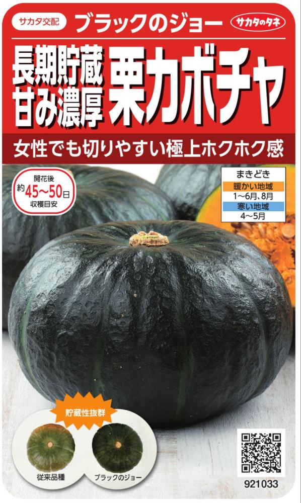 カボチャ種子 長期貯蔵甘み濃厚栗カボチャブラックのジョー の通販