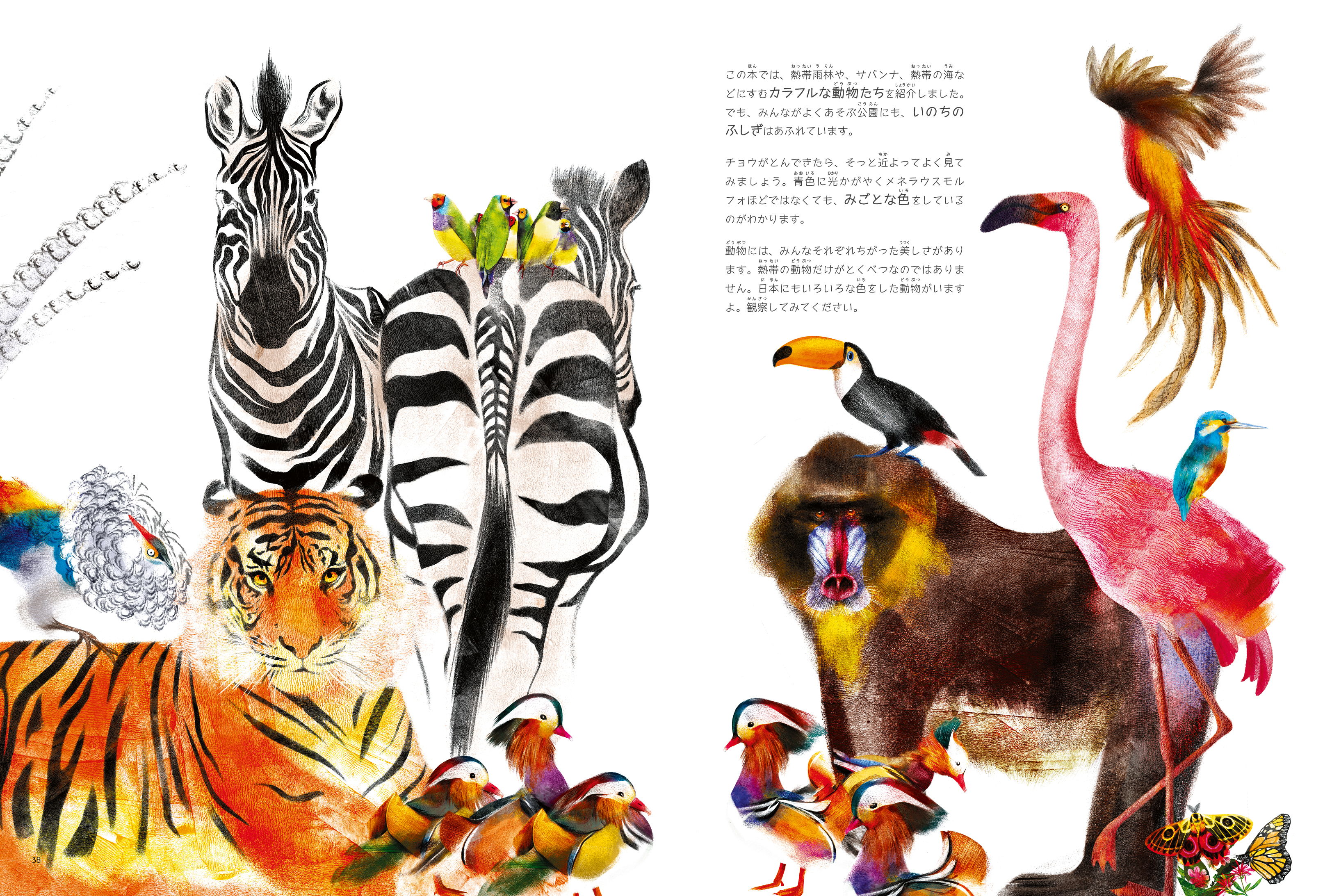 動物たちのカラフルコンテスト - 株式会社 化学同人