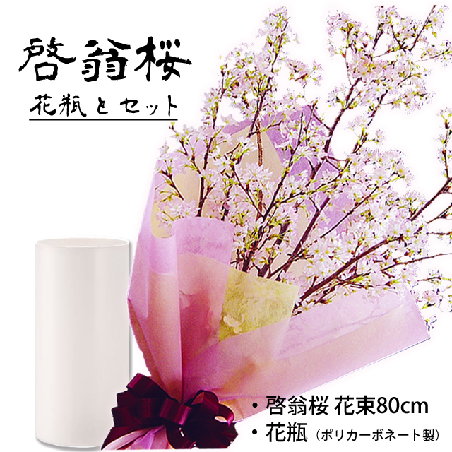 啓翁桜(80cm)花瓶セット 送料無料 花樹有（かじゅある） 商品詳細