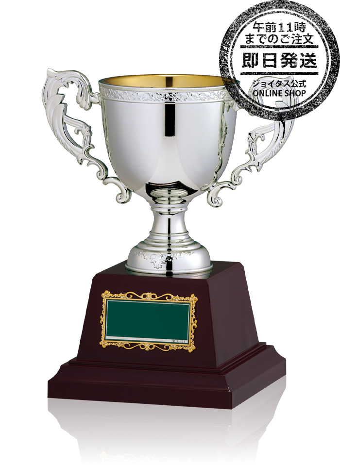 予期せぬ出来事 パラレル ショップバトル優勝賞品 ショップバトル 2025