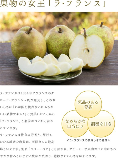 成生土づくり研究会山形県産 ラ・フランス約2.5kg(6～8玉) ※11月中旬