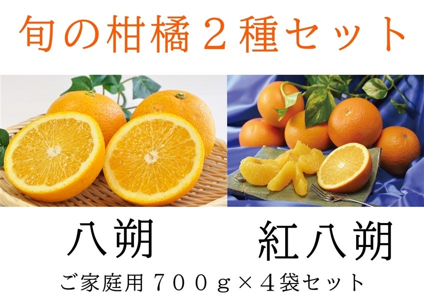 2種類】柑橘食べ比べセット2.8kg（各種700g×各2袋ずつ）【はっさく
