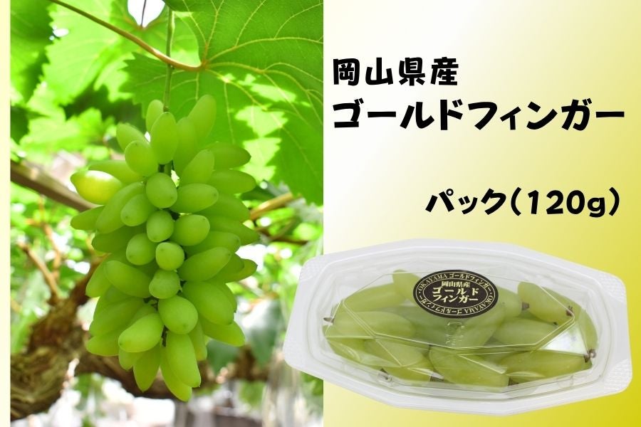 福袋】岡山県産ぶどうスペシャルセット（全6品）8月中旬頃～9月上旬