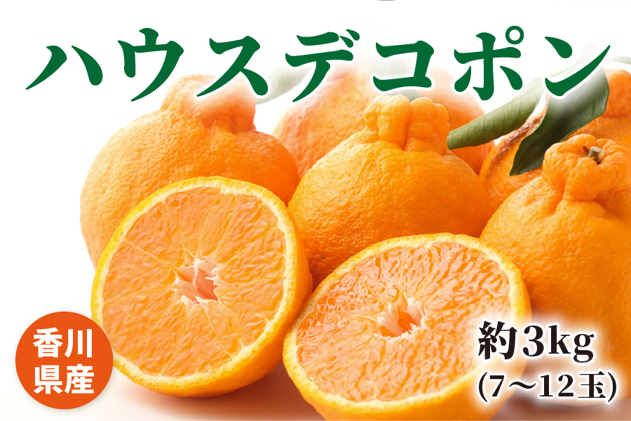 お歳暮】香川県産 ハウスデコポン 約3㎏: JAギフトセンターかがわ