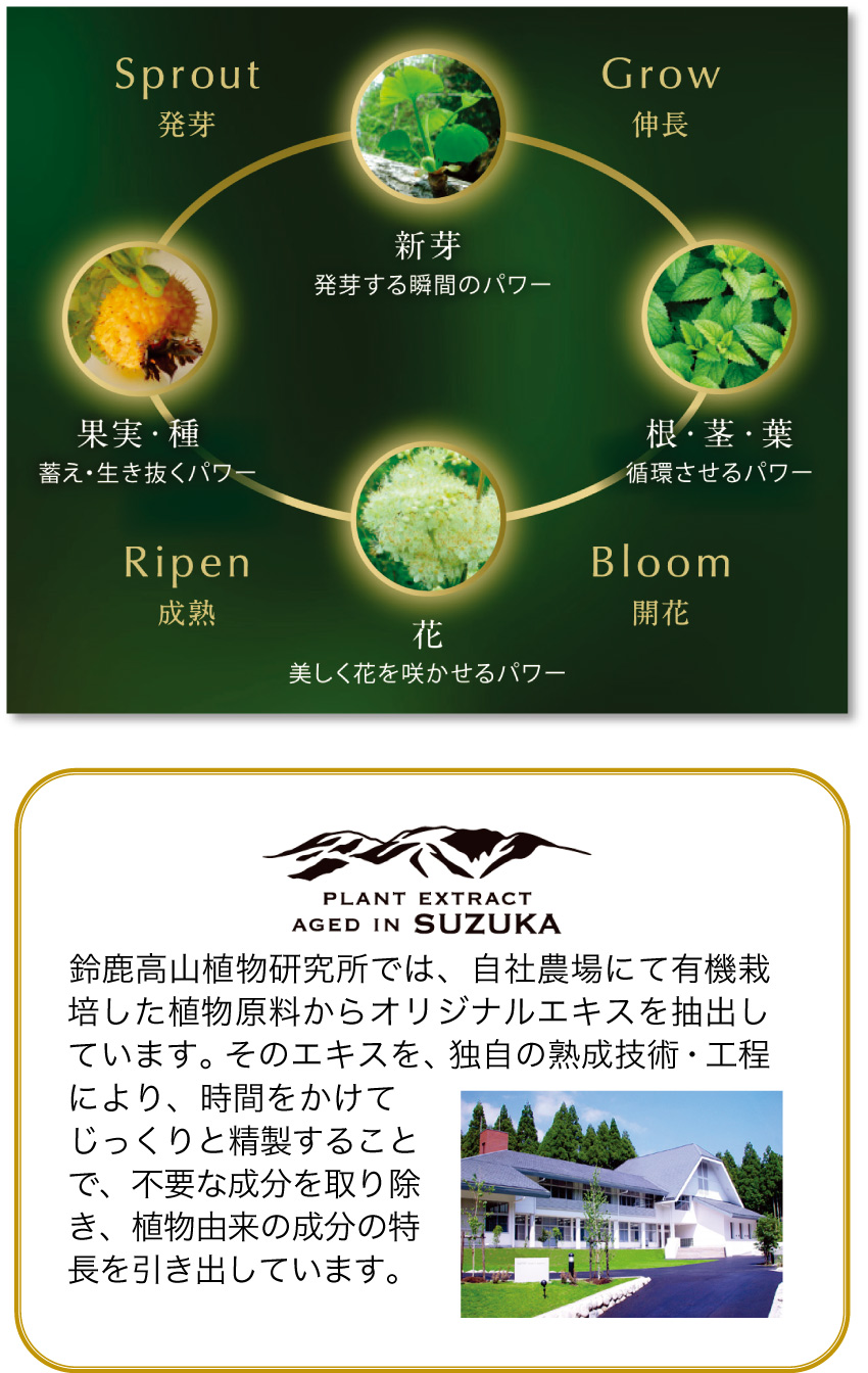 厳選された26種類の植物エキスと2つの有効成分配合。年齢肌に