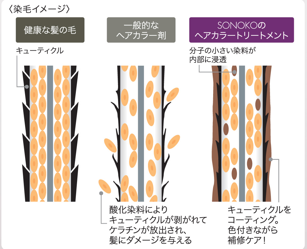 商品詳細ページ | SONOKO オンラインショップ | ヘアカラー