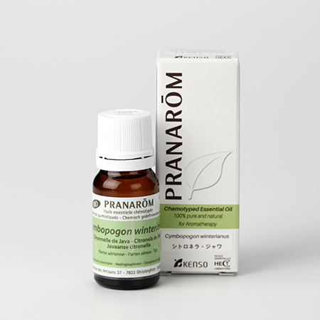 シトロネラ・ジャワ – プラナロム エッセンシャルオイル・精油｜健草医学舎