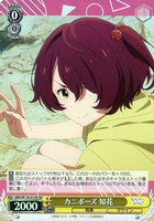 責任とれよ【ヴァイスシュヴァルツトレカお買得価格通販：CBトレコロ】