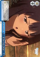 カードを買う/ヴァイスシュヴァルツ/2025年度作品/負けヒロインが多