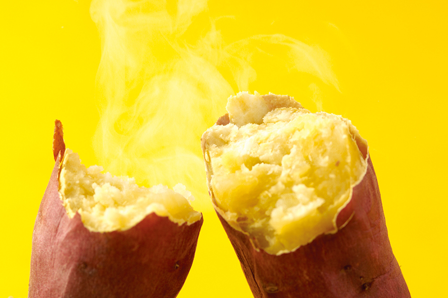 TEY-101 - タイジ株式会社タイジ株式会社