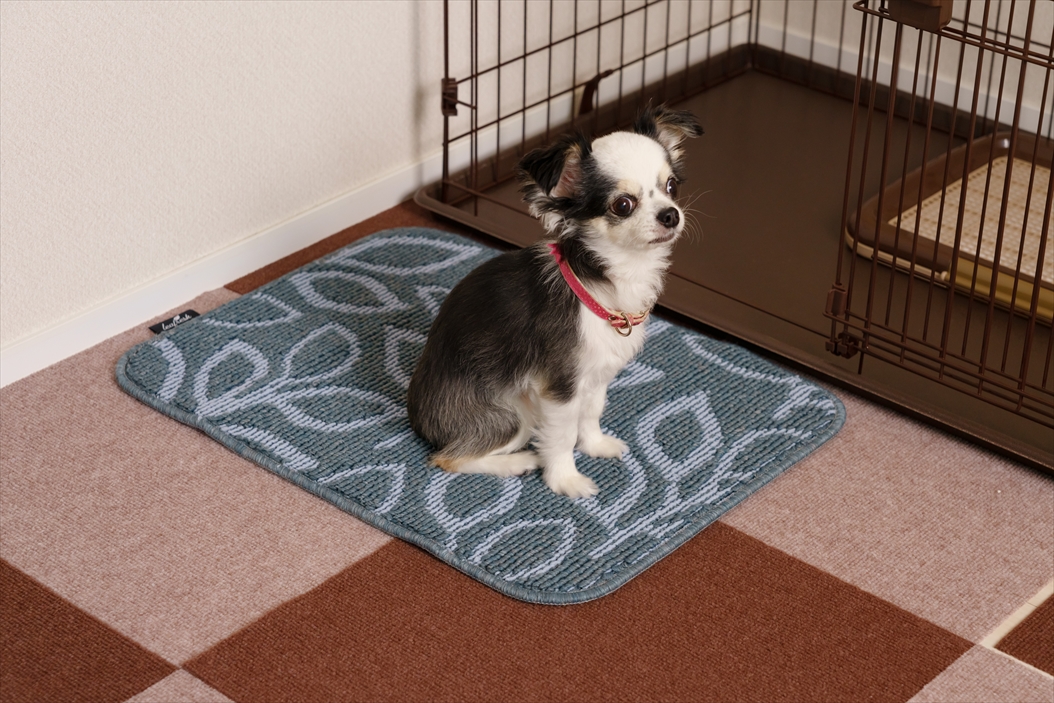 リーフレッシュ消臭マット スクエア 45×60 | 山崎産業株式会社 家庭