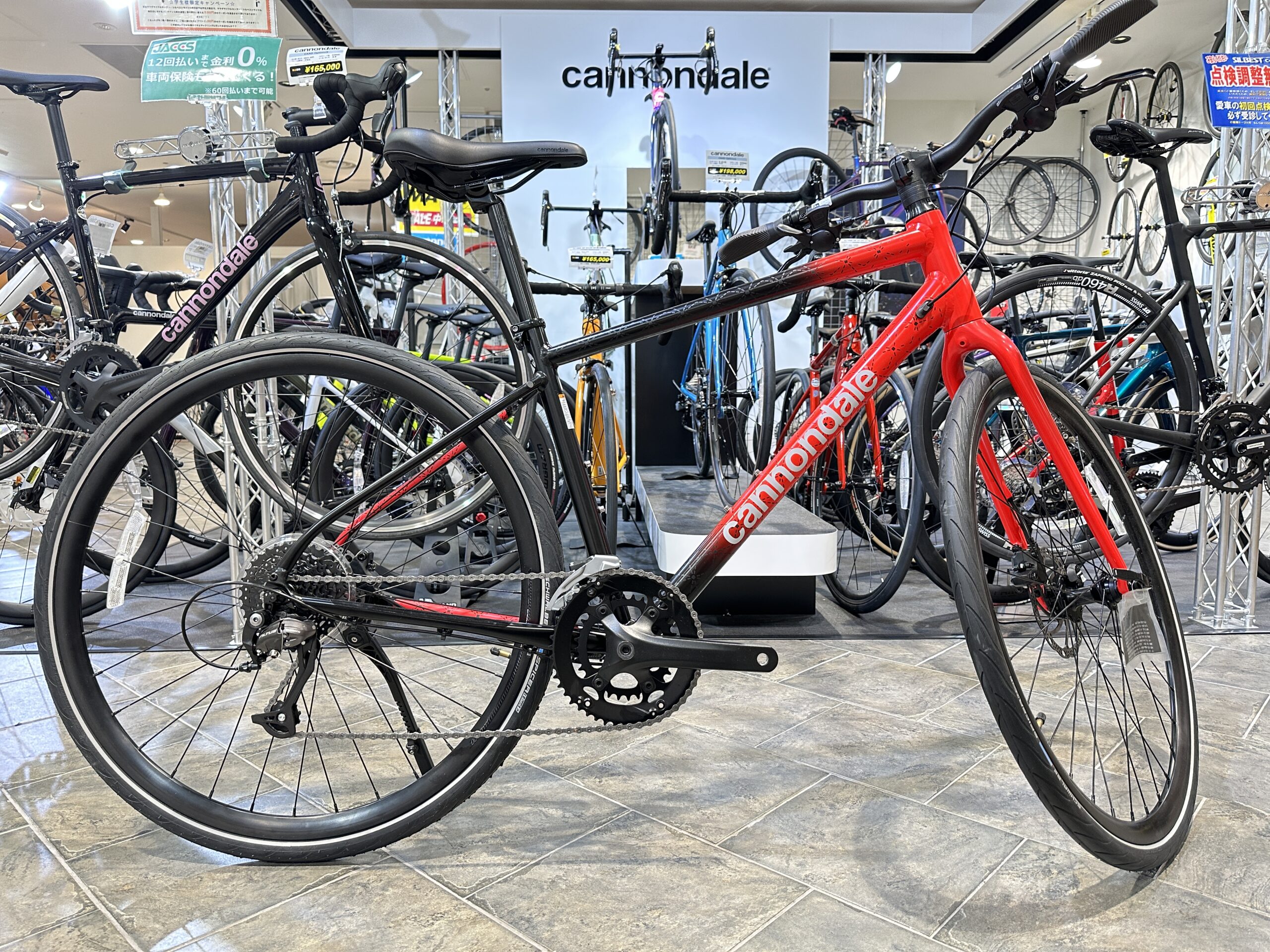 Cannondale Quick3 Rui Edition 八村塁モデル‼️ ヤマダサイクル