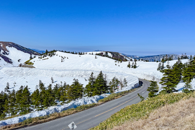 志賀草津高原ルート 雪の回廊2025｜群馬・中之条観光｜天空の回廊が