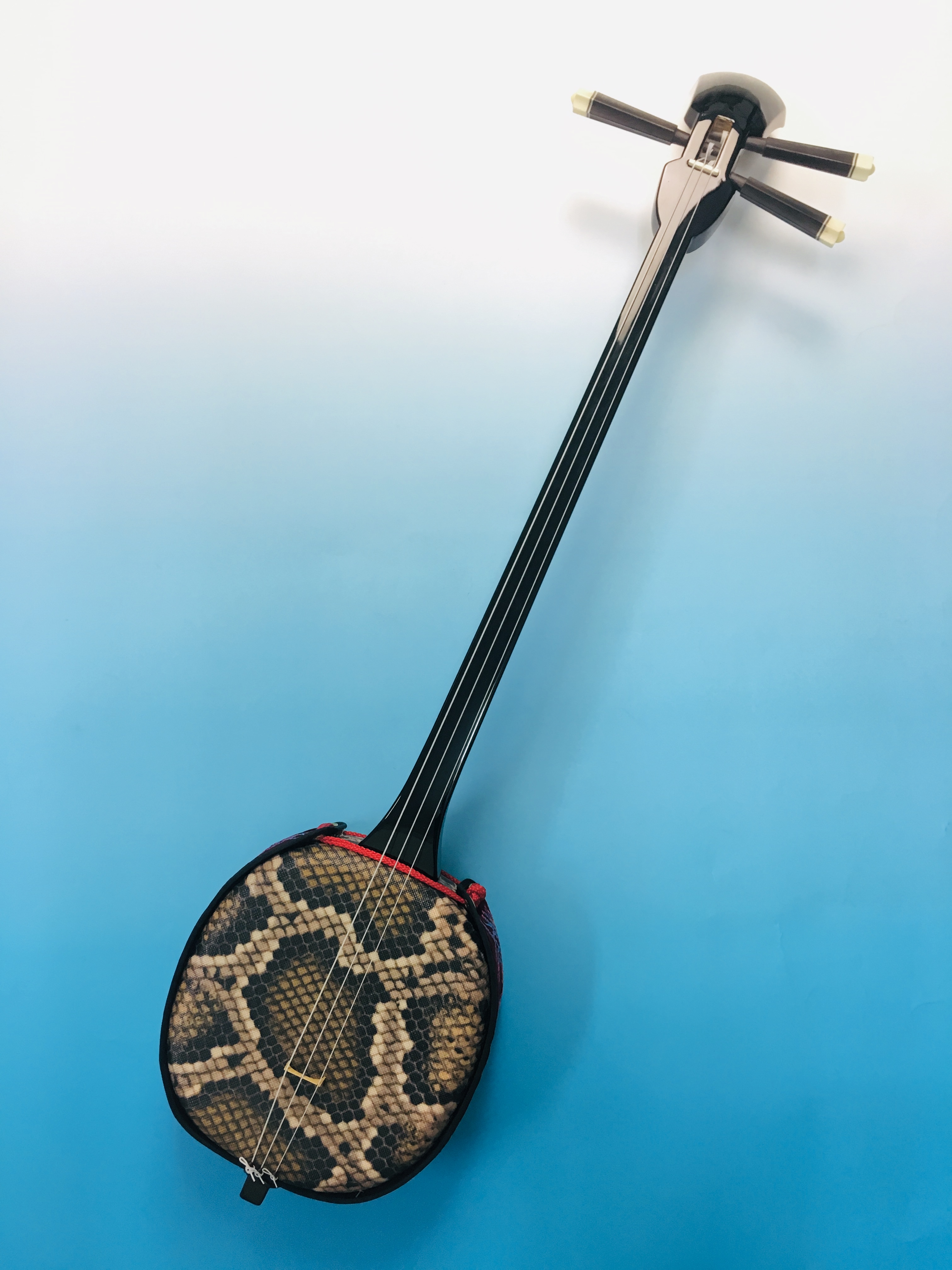 人工皮三線本体のみ – 池武当新垣三線店