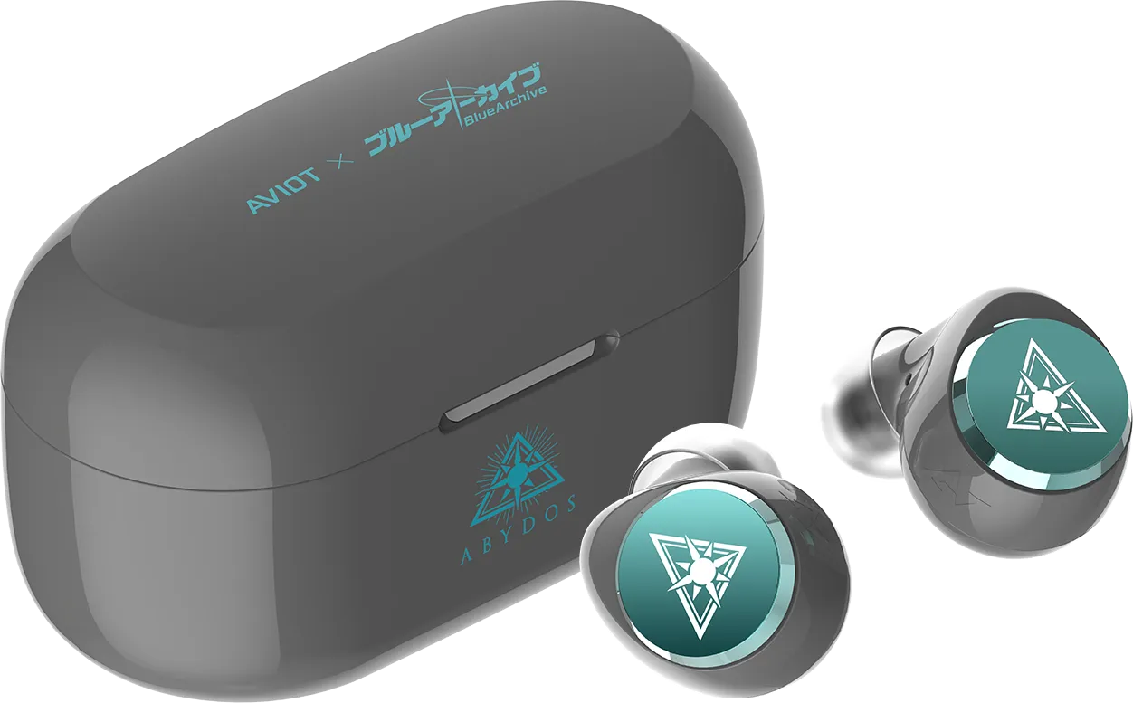 TE-V1R-BLA 製品情報｜AVIOT