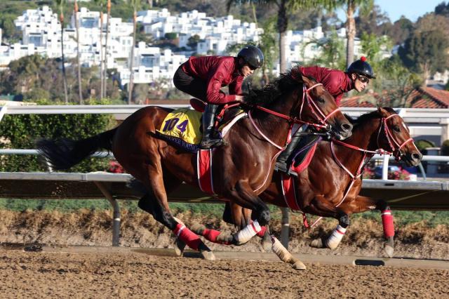 BCクラシック】フォーエバーヤングが坂井瑠星騎手を背に貫禄たっぷりの