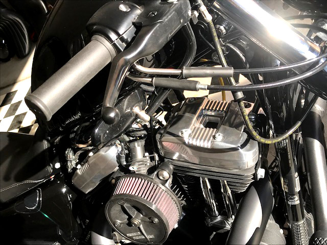 ロッカーカバー 結晶塗装！（ハーレーダビッドソン XL1200X フォー