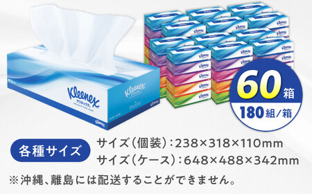 クリネックス 60箱 ボックスティッシュ ティッシュペーパー [BDBH001-1