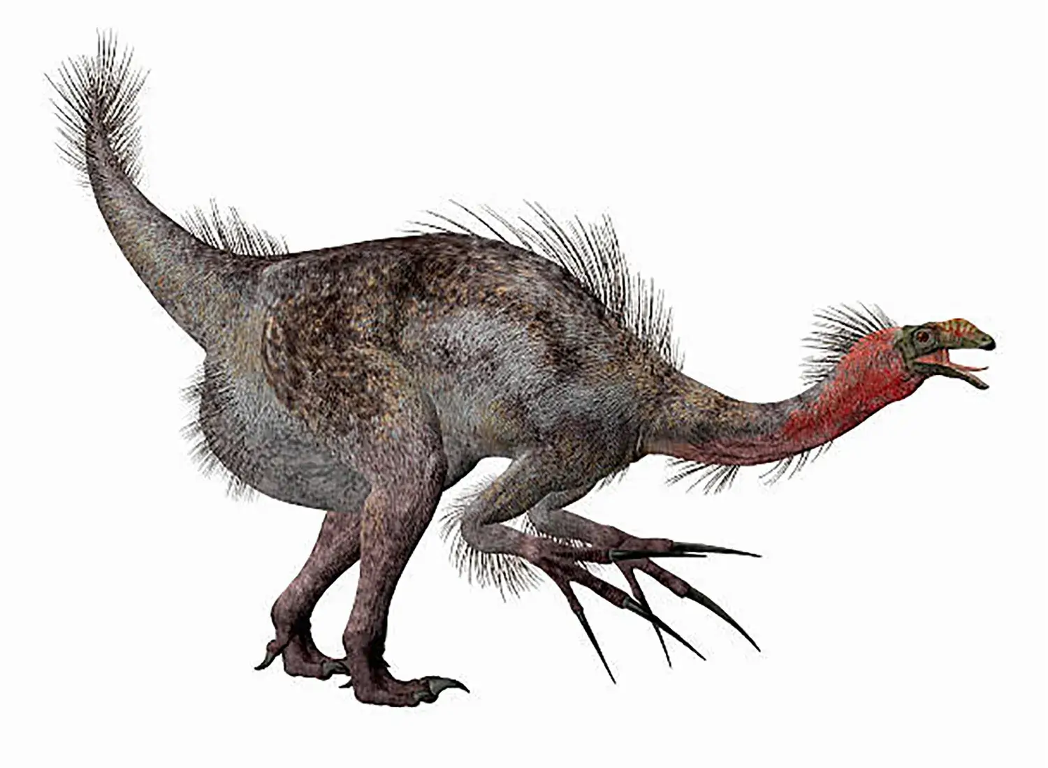 テリジノサウルス (Therizinosaurus) | 恐竜大百科