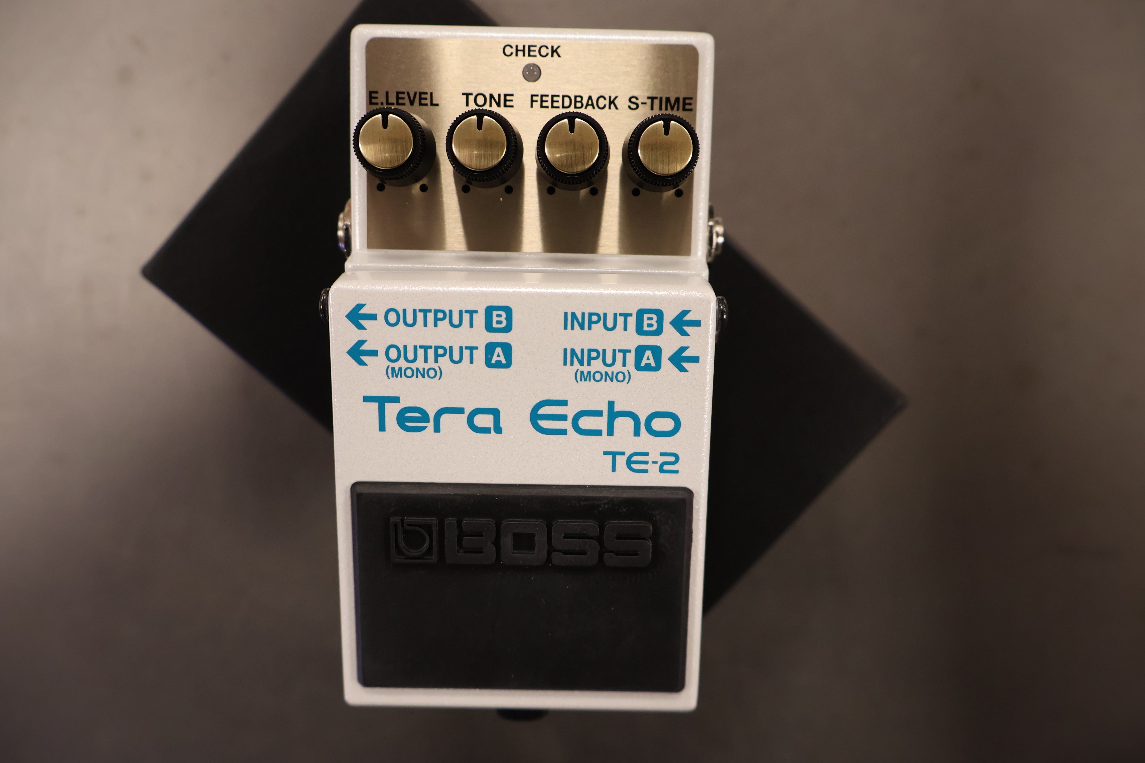 Boss TE-2 Tera Echo – Dirk Witte