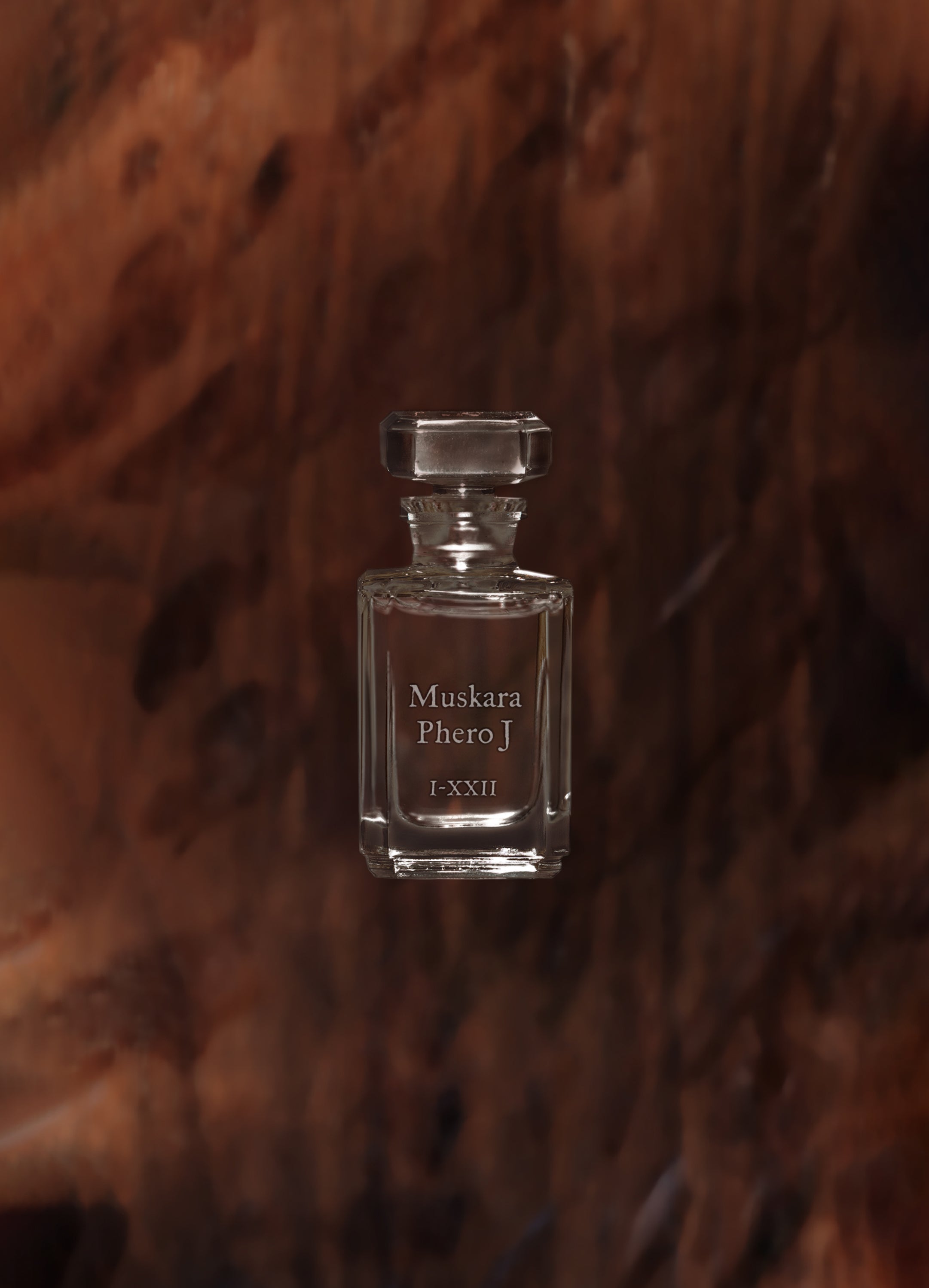 FUEGUIA 1833 | Muskara Phero J.｜ムスカラ フェロ ジェイ – FUEGUIA