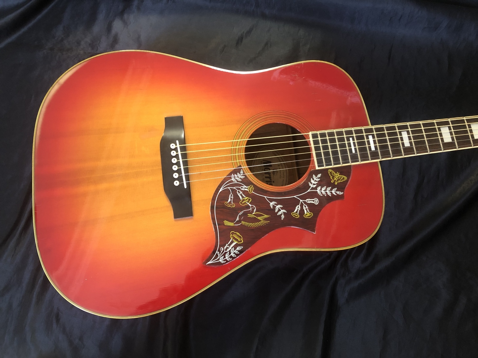 Morris / WH-25 ハミングバード 日本製 - HR/HMギター専門店 FUTURE WORLD