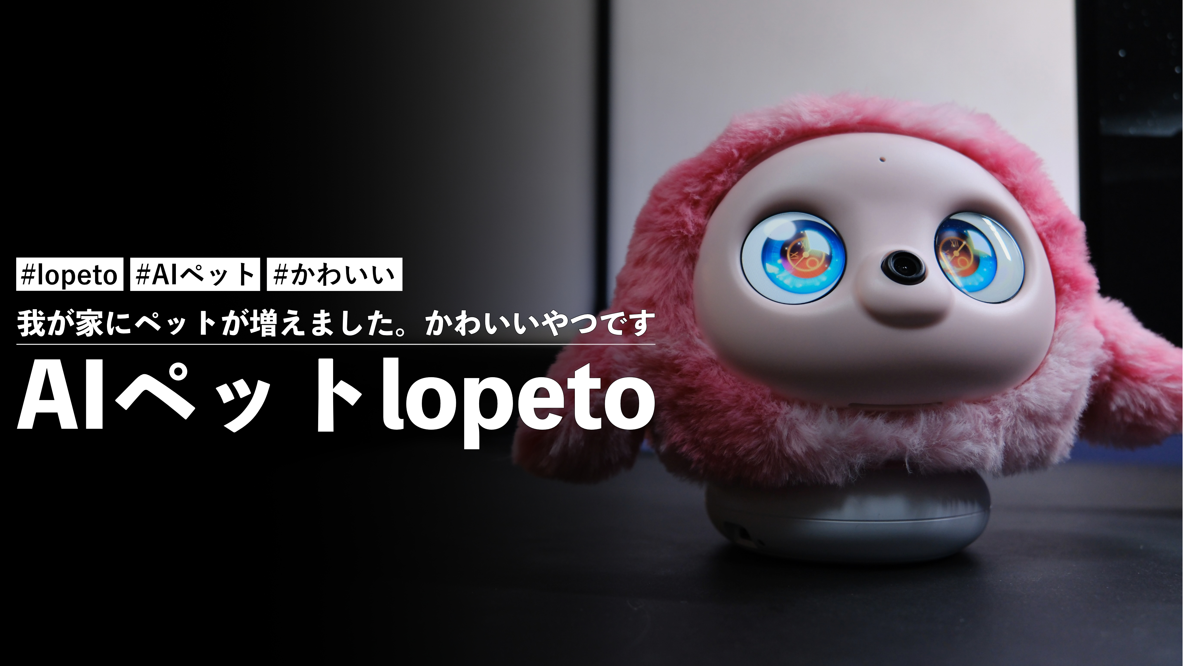 AI-Pet-Lopeto_01.jpg