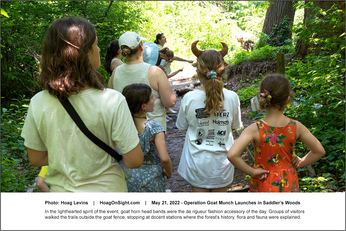 Operation Goat Munch Launches in Haddon Township's Saddler's Woods