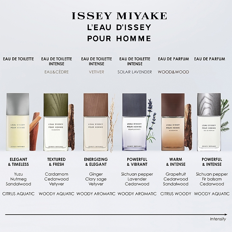 オードトワレ - Issey Miyake L'Eau d'Issey pour Homme