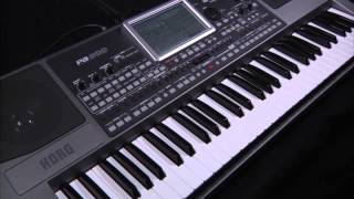 Pa900 - PROFESSIONAL ARRANGER | KORG (Japan)