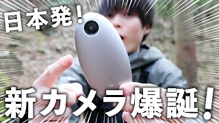 A thorough analysis of the 