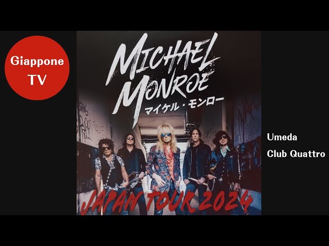 マイケル・モンロー ジョン・シエラ 1990 日本公演 ギターピック